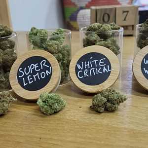 Greenzen, un vendeur de cbd
